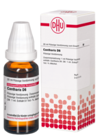 CANTHARIS D 6 Dilution