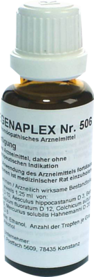 REGENAPLEX Nr.506 b Tropfen zum Einnehmen