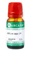 ALLIUM CEPA LM 100 Dilution