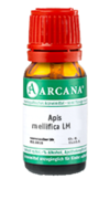 APIS MELLIFICA LM 1 Dilution