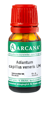 ADIANTUM CAPILLUS veneris LM 13 Dilution