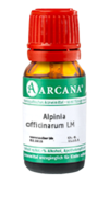 ALPINIA OFFICINARUM LM 19 Dilution