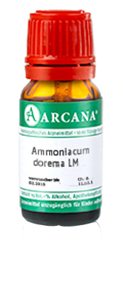 AMMONIACUM dorema LM 13 Dilution