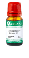 AMMONIACUM dorema LM 60 Dilution