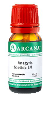 ANAGYRIS foetida LM 8 Dilution