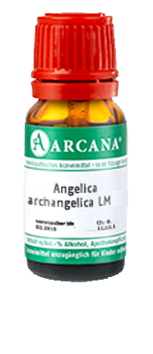 ANGELICA ARCHANGELICA LM 15 Dilution