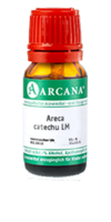 ARECA catechu LM 100 Dilution